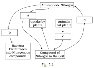 NCERT Exemplar Solutions Class 8 Science Micro organisms Friend and Foe