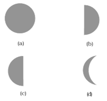 NCERT Exemplar Solutions Class 8 Science Stars and the Solar System