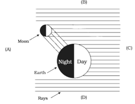 NCERT Exemplar Solutions Class 8 Science Stars and the Solar System