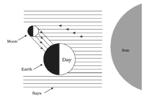 NCERT Exemplar Solutions Class 8 Science Stars and the Solar System