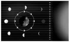 NCERT Exemplar Solutions Class 8 Science Stars and the Solar System