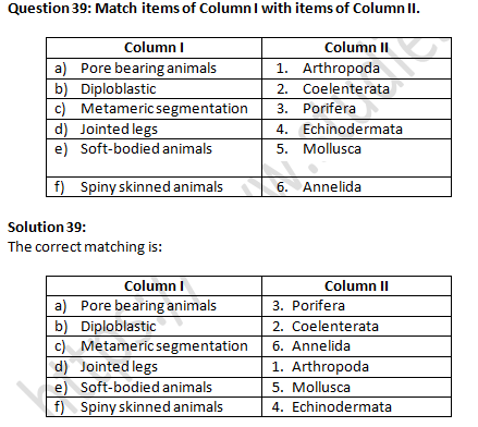 NCERT Exemplar Solutions Class 9 Science Diversity in Living Organisms