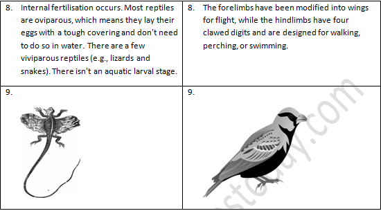 NCERT Exemplar Solutions Class 9 Science Diversity in Living Organisms