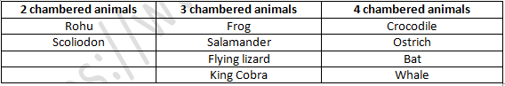 NCERT Exemplar Solutions Class 9 Science Diversity in Living Organisms