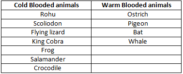 NCERT Exemplar Solutions Class 9 Science Diversity in Living Organisms