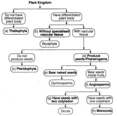 NCERT Exemplar Solutions Class 9 Science Diversity in Living Organisms