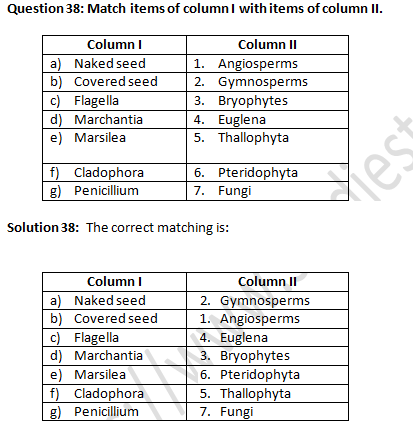 NCERT Exemplar Solutions Class 9 Science Diversity in Living Organisms