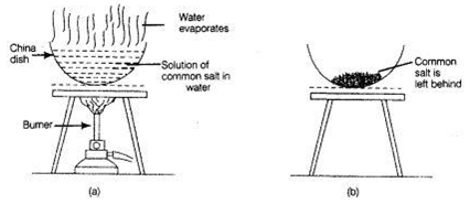 NCERT Exemplar Solutions Class 9 Science Is Matter Around us Pure