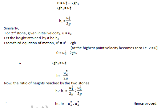 NCERT Exemplar Solutions Class 9 Science Motion