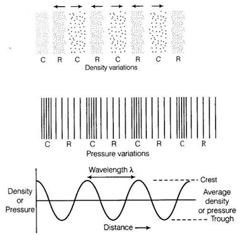 NCERT Exemplar Solutions Class 9 Science Sound