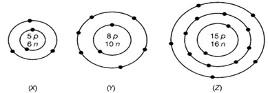 NCERT Exemplar Solutions Class 9 Science Structure of the Atom