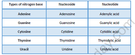 NEET-Biology-Biomolecules-Revision-Notes 1