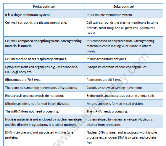 NEET-Biology-Cell-The-Unit-of-Life-Revision-Notes 1