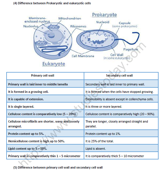 NEET Biology Cell The Unit Of Life Revision Notes