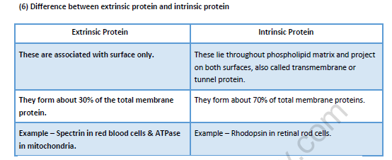 NEET-Biology-Cell-The-Unit-of-Life-Revision-Notes 4