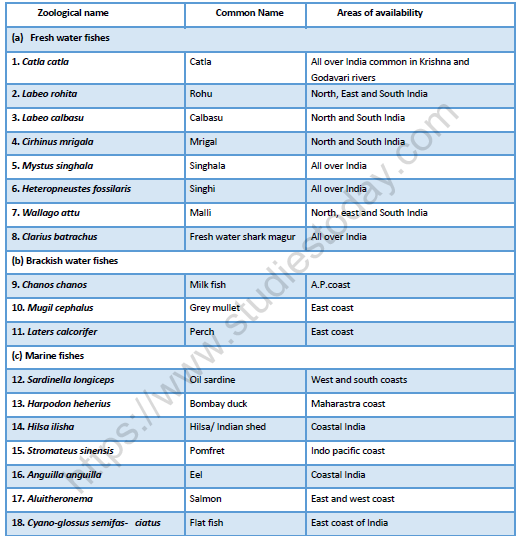 NEET-Biology-Enhancement-in-Food-Production-Revision-Notes 2