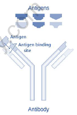 NEET-Biology-Health-and-Diseases-Revision-Notes 2