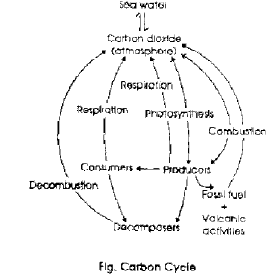 NEET-Biology-Natural-Resources-Revision-Notes_0 1