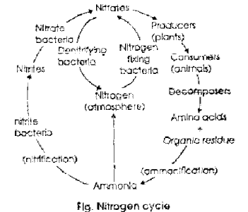 NEET-Biology-Natural-Resources-Revision-Notes_0 2