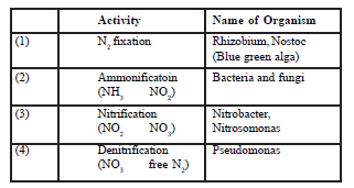 NEET-Biology-Natural-Resources-Revision-Notes_0 3