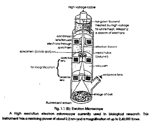 NEET-Biology-Organization-In-The-Living-World-Cell-and-Cell-Structures-Revision-Notes_0 1