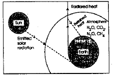 NEET-Biology-Our-Natural-Resources-Revision-Notes-16 1