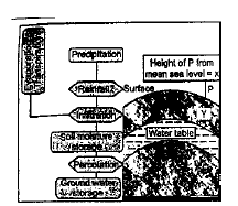 NEET-Biology-Our-Natural-Resources-Revision-Notes-16 2