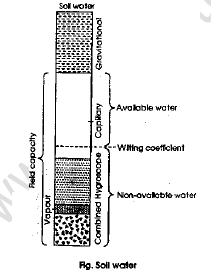 NEET-Biology-Our-Natural-Resources-Revision-Notes-16 3