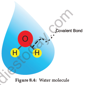 NEET-Botany-Biomolecules-Chapter-Notes 5