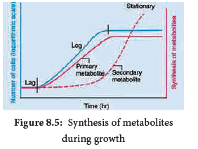 NEET-Botany-Biomolecules-Chapter-Notes 6