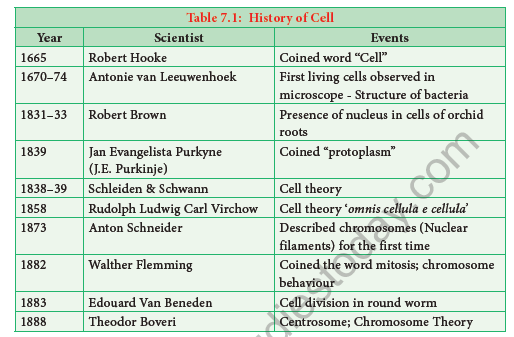 NEET-Botany-Cell-Cycle-Chapter-Notes 1