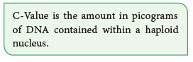 NEET-Botany-Cell-Cycle-Chapter-Notes 3