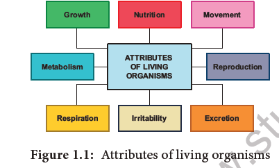 NEET-Botany-Diversity-of-Living-World-Chapter-Notes 1