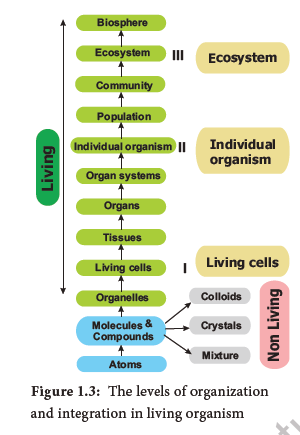 NEET-Botany-Diversity-of-Living-World-Chapter-Notes 4