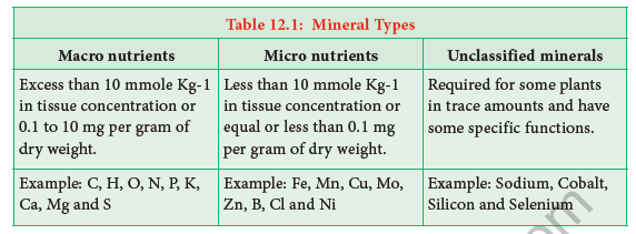 NEET-Botany-Mineral-Nutrition-Chapter-Notes 1