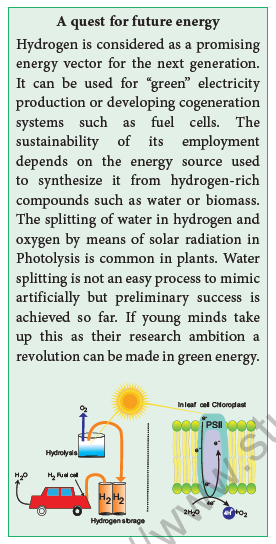 NEET-Botany-Photosynthesis-Chapter-Notes 1