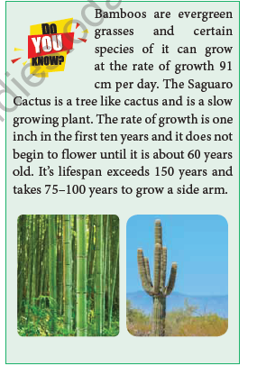 NEET-Botany-Plant-Growth-and-Development-Chapter-Notes 1