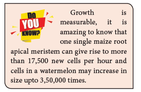 NEET-Botany-Plant-Growth-and-Development-Chapter-Notes 2