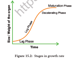 NEET-Botany-Plant-Growth-and-Development-Chapter-Notes 5