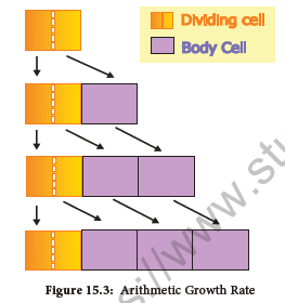 NEET-Botany-Plant-Growth-and-Development-Chapter-Notes 6