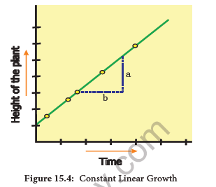 NEET-Botany-Plant-Growth-and-Development-Chapter-Notes 7