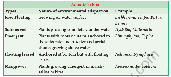 NEET-Botany-Plant-Morphology-and-Taxonomy-of-Angiosperm-Chapter-Notes 2