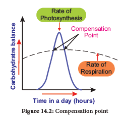 NEET-Botany-Respiration-Chapter-Notes 2