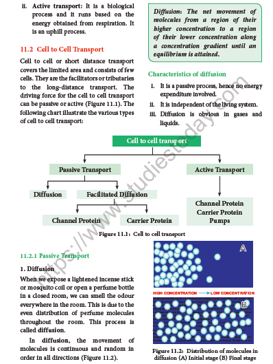 NEET-Botany-Transport-in-Plants-Chapter-Notes 2