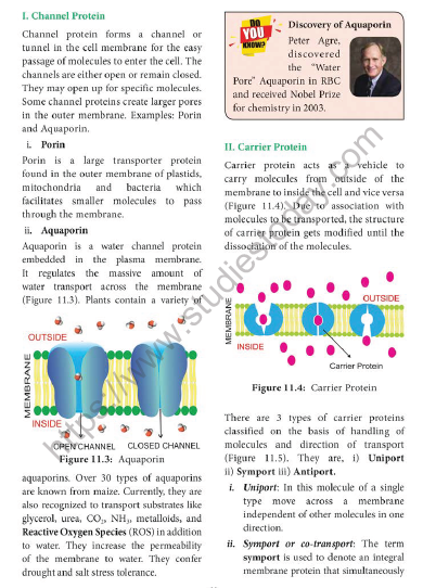 NEET-Botany-Transport-in-Plants-Chapter-Notes 4