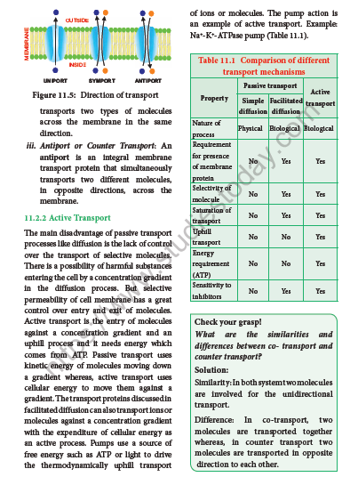 NEET-Botany-Transport-in-Plants-Chapter-Notes 5