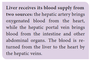 NEET-Botany-Zoology-Body-Fluids-and-Circulation-Chapter-Notes 2