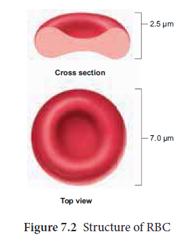 NEET-Botany-Zoology-Body-Fluids-and-Circulation-Chapter-Notes 3