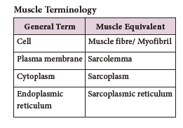 NEET-Botany-Zoology-Locomotion-and-Movement-Chapter-Notes 2