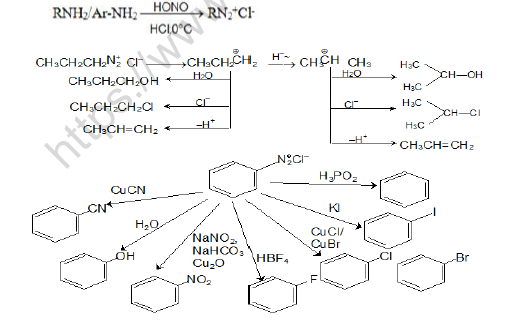 NEET-Chemistry-Nitroalkanes-Amines-and-Diazonium-Salts-Revision-Notes 4